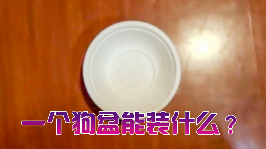 給騷狗一個狗盆，尿進去讓他喝，無敵騷狗一個。